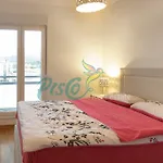 New شقة بودغوريتْسا